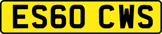 ES60CWS