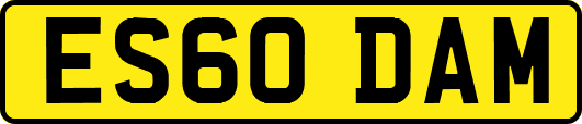 ES60DAM