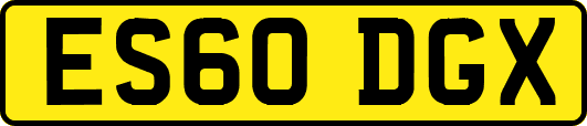 ES60DGX