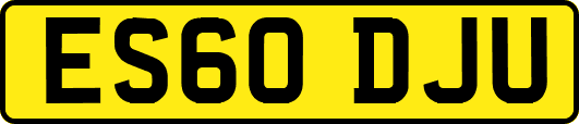 ES60DJU