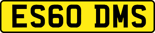 ES60DMS