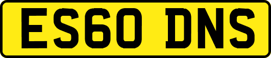 ES60DNS