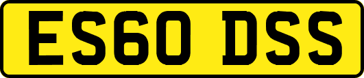 ES60DSS