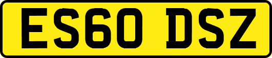ES60DSZ