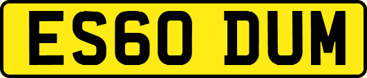 ES60DUM