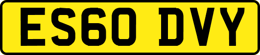 ES60DVY