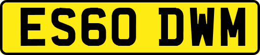 ES60DWM
