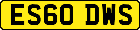 ES60DWS