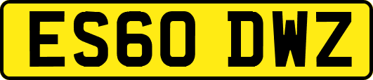 ES60DWZ