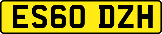 ES60DZH