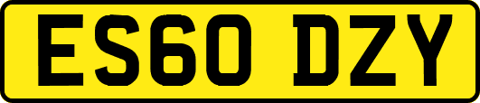 ES60DZY