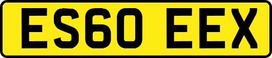 ES60EEX