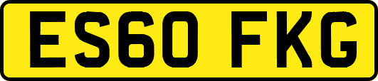 ES60FKG