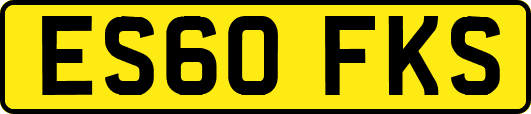 ES60FKS