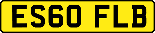 ES60FLB
