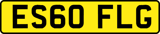 ES60FLG