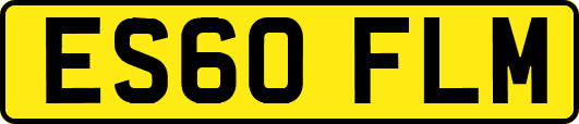 ES60FLM