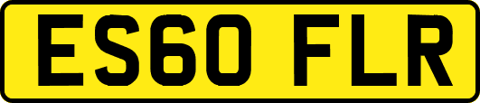 ES60FLR