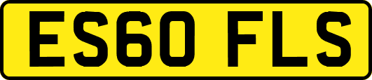 ES60FLS