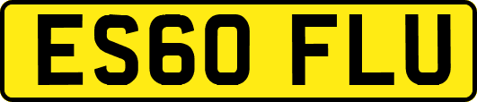 ES60FLU