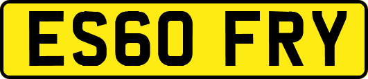 ES60FRY