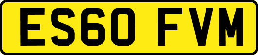 ES60FVM