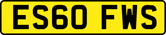 ES60FWS