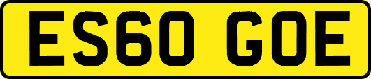 ES60GOE