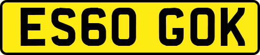 ES60GOK