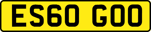 ES60GOO