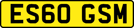 ES60GSM