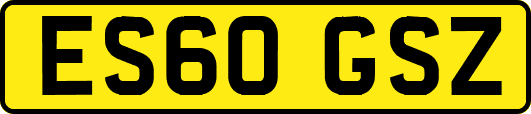 ES60GSZ