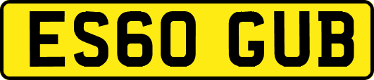 ES60GUB