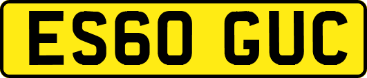 ES60GUC