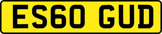 ES60GUD