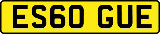 ES60GUE
