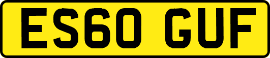 ES60GUF