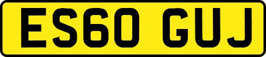 ES60GUJ