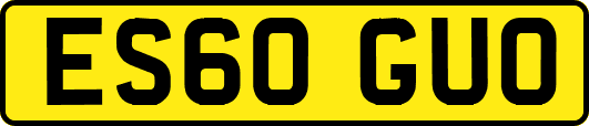 ES60GUO