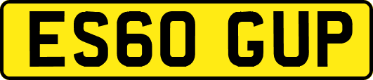 ES60GUP