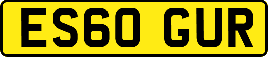 ES60GUR