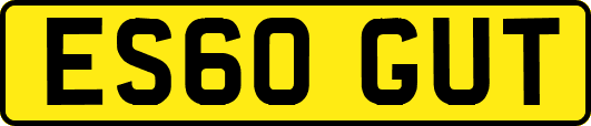 ES60GUT