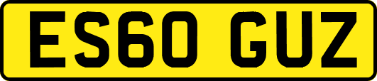 ES60GUZ