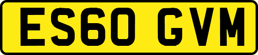 ES60GVM