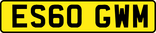 ES60GWM