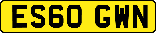 ES60GWN