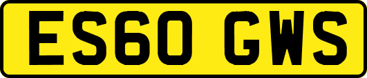 ES60GWS