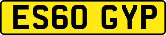 ES60GYP