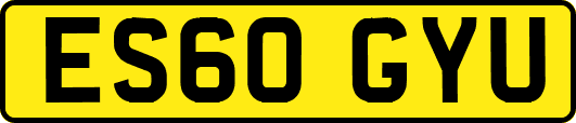 ES60GYU