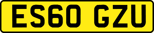 ES60GZU